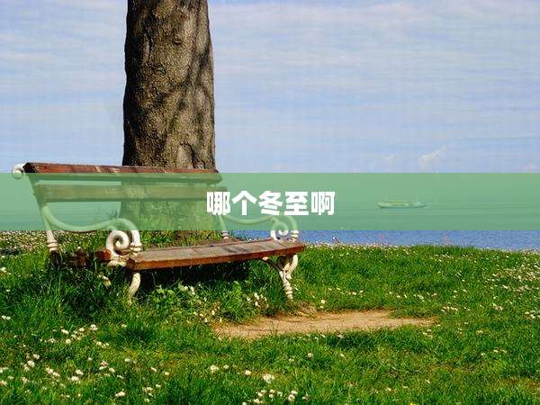 哪个冬至啊