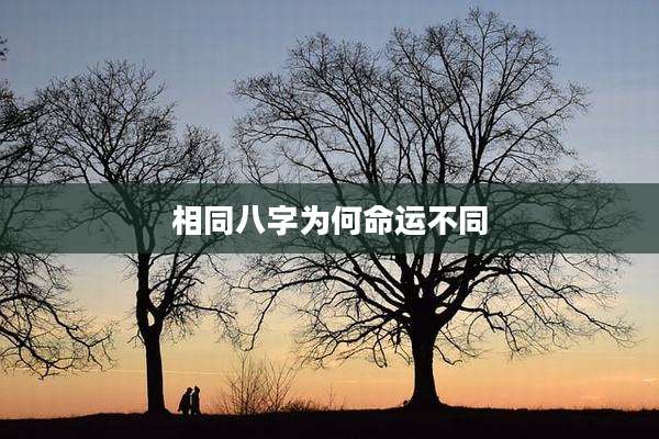 相同八字为何命运不同