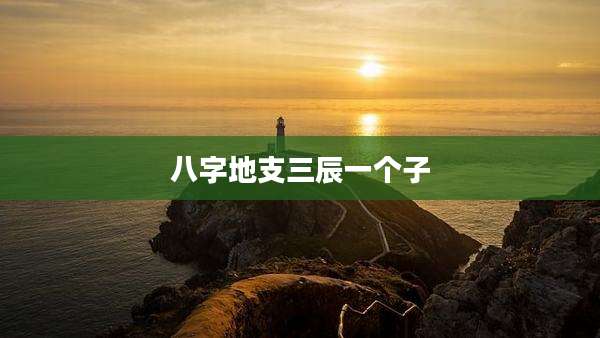 八字地支三辰一个子