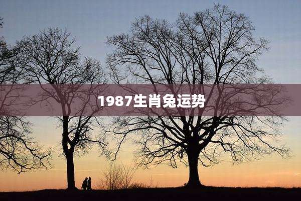1987生肖兔运势