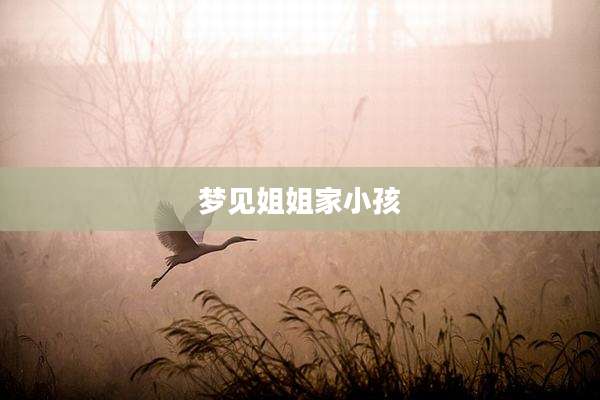 梦见姐姐家小孩