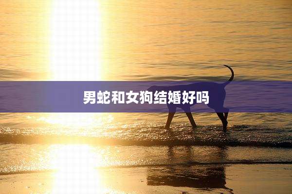 男蛇和女狗结婚好吗