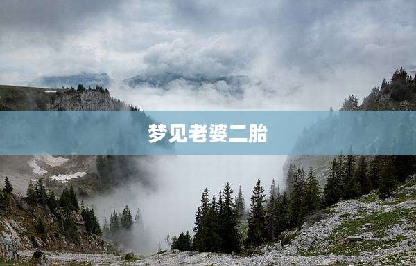 梦见老婆二胎