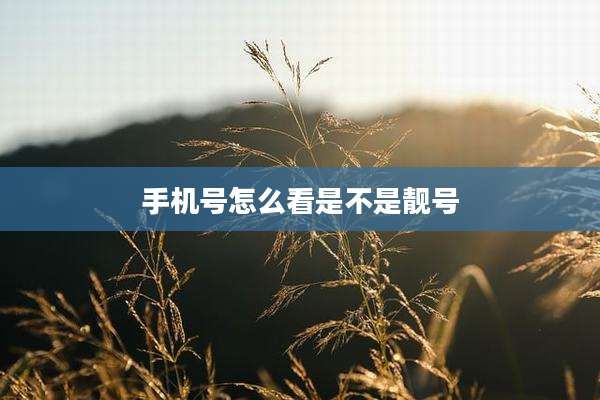 手机号怎么看是不是靓号