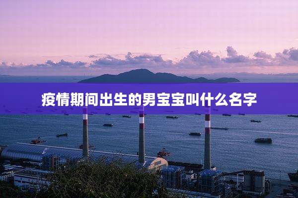 疫情期间出生的男宝宝叫什么名字