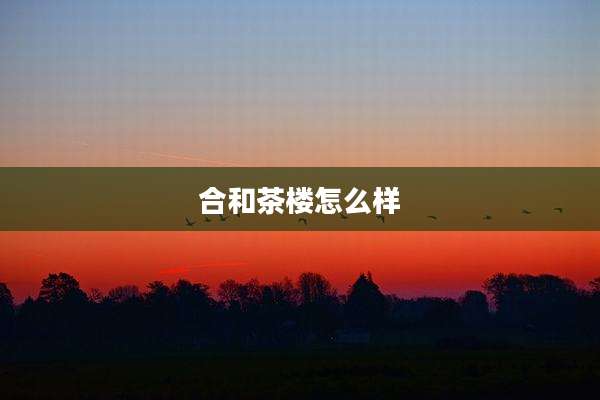 合和茶楼怎么样