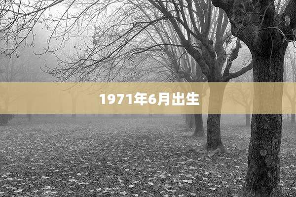 1971年6月出生