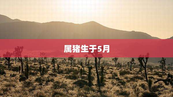 属猪生于5月