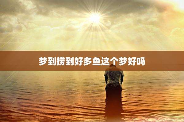 梦到捞到好多鱼这个梦好吗