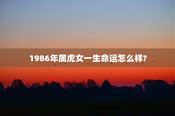 1986年属虎女一生命运怎么样?