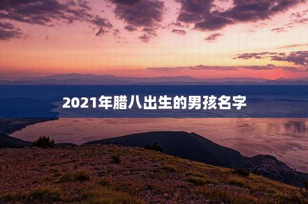 2021年腊八出生的男孩名字