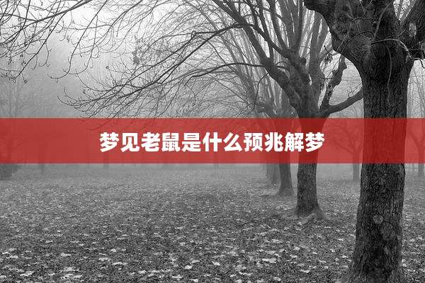 梦见老鼠是什么预兆解梦
