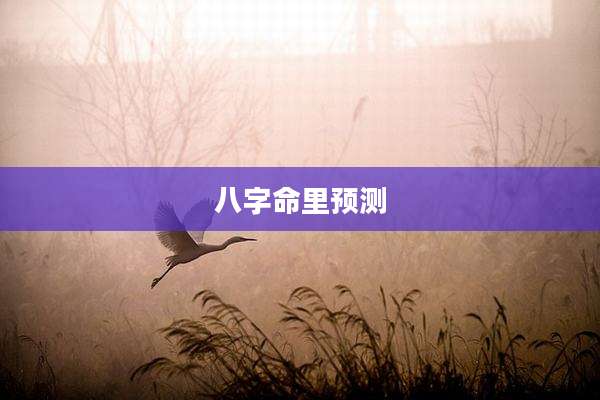 八字命里预测