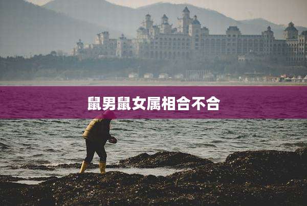鼠男鼠女属相合不合