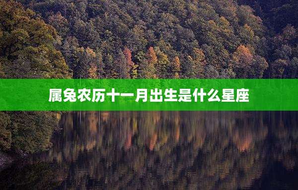 属兔农历十一月出生是什么星座