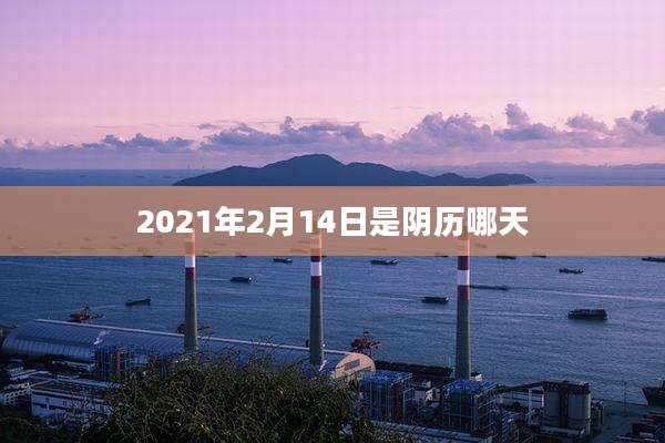 2021年2月14日是阴历哪天