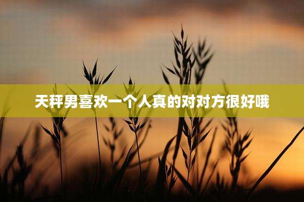 天秤男喜欢一个人真的对对方很好哦