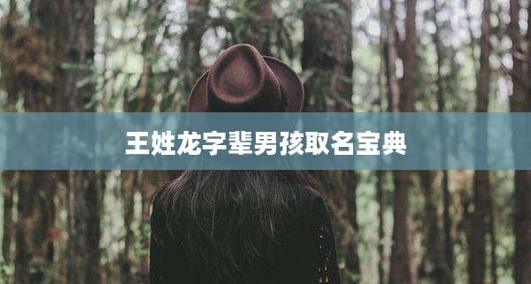 王姓龙字辈男孩取名宝典