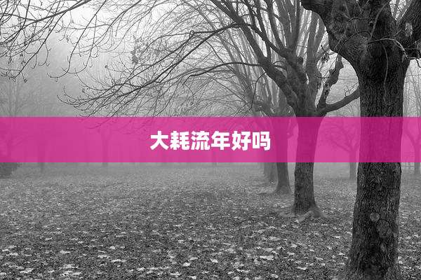 大耗流年好吗