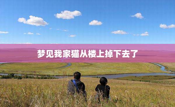 梦见我家猫从楼上掉下去了