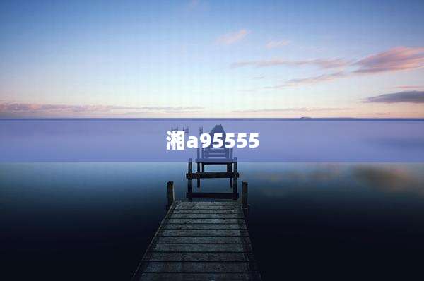 湘a95555
