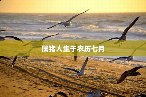 属猪人生于农历七月