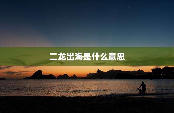 二龙出海是什么意思