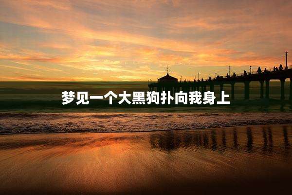 梦见一个大黑狗扑向我身上