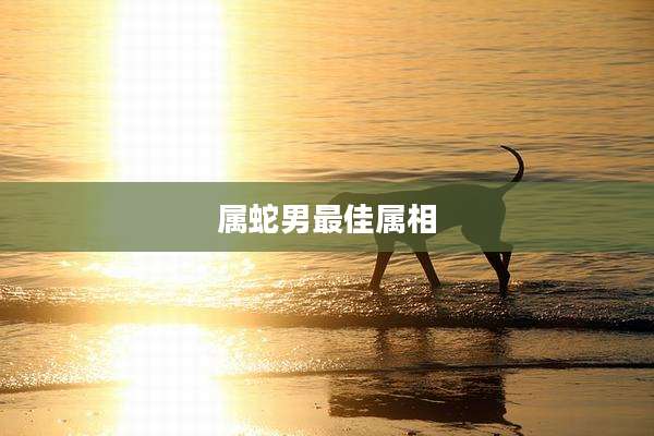 属蛇男最佳属相