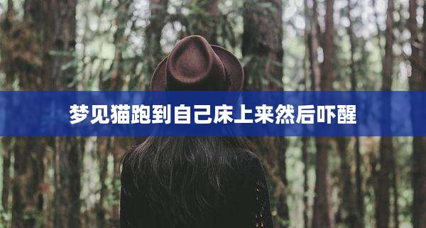 梦见猫跑到自己床上来然后吓醒