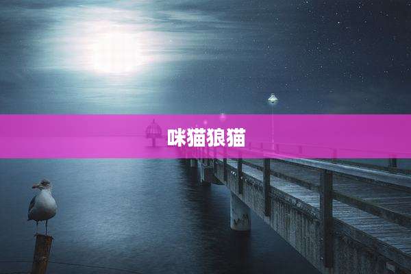 咪猫狼猫
