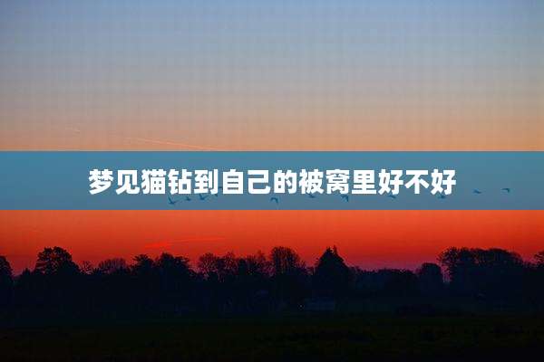 梦见猫钻到自己的被窝里好不好
