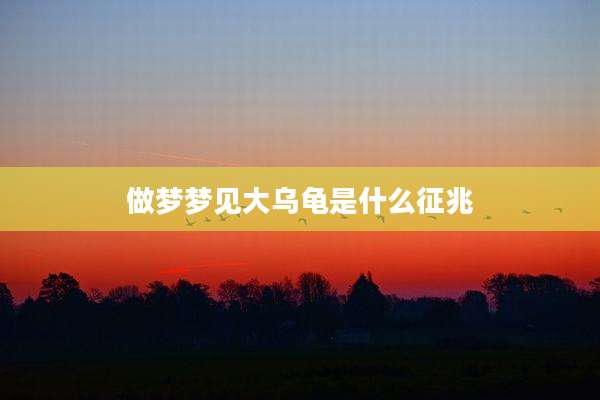 做梦梦见大乌龟是什么征兆