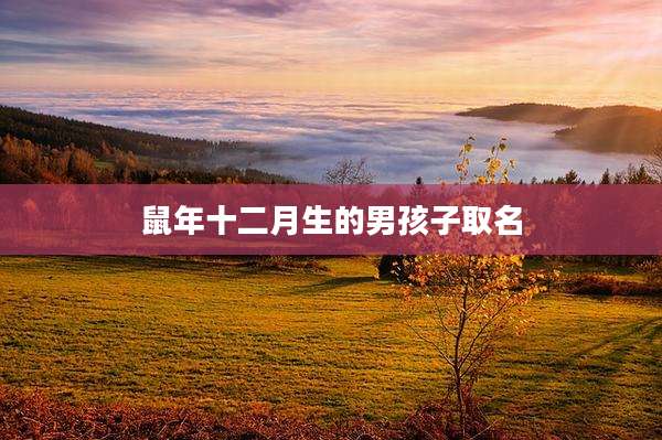 鼠年十二月生的男孩子取名