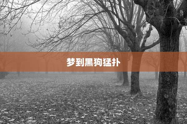 梦到黑狗猛扑