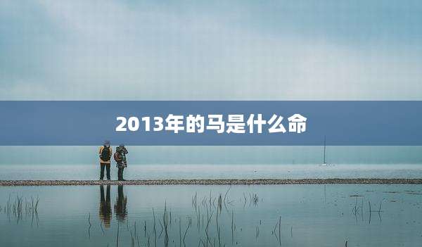 2013年的马是什么命
