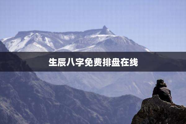 生辰八字免费排盘在线