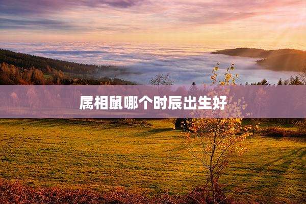 属相鼠哪个时辰出生好