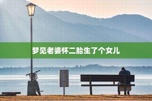梦见老婆怀二胎生了个女儿