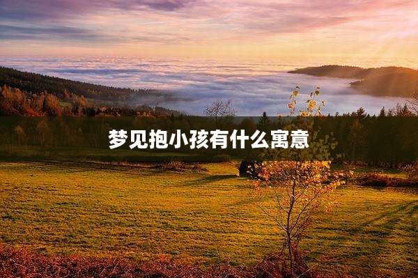梦见抱小孩有什么寓意
