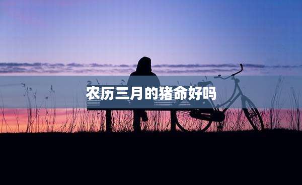 农历三月的猪命好吗