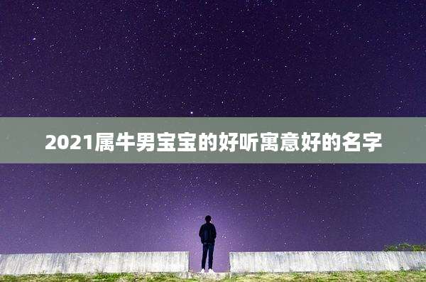 2021属牛男宝宝的好听寓意好的名字