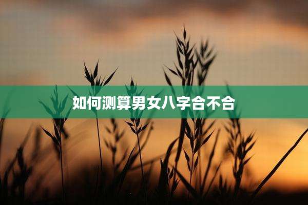 如何测算男女八字合不合