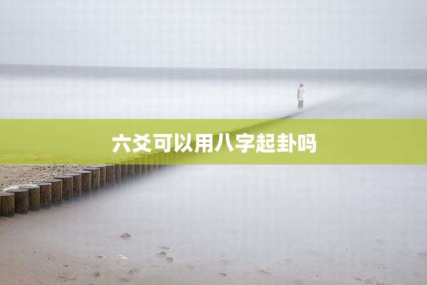 六爻可以用八字起卦吗