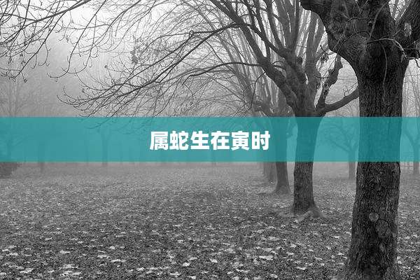 属蛇生在寅时