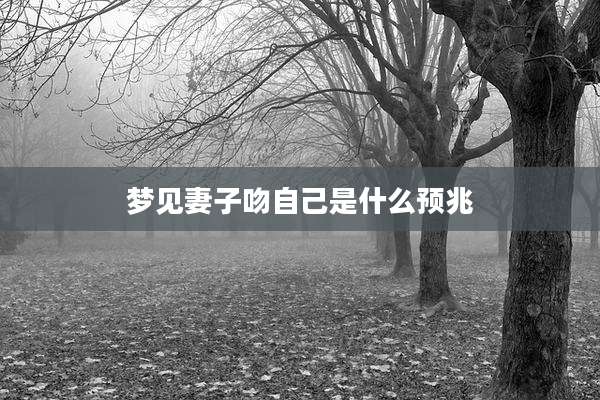 梦见妻子吻自己是什么预兆