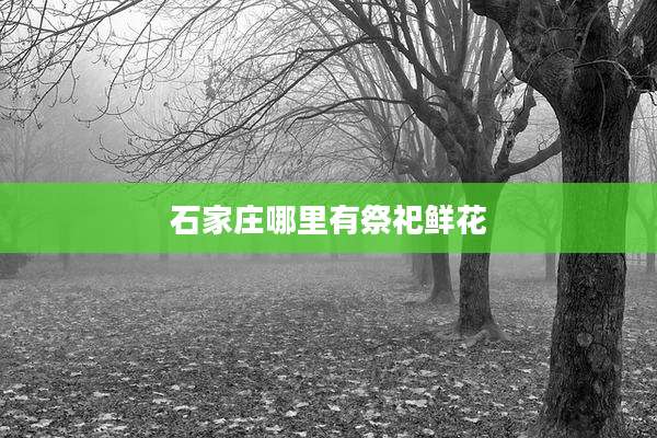 石家庄哪里有祭祀鲜花