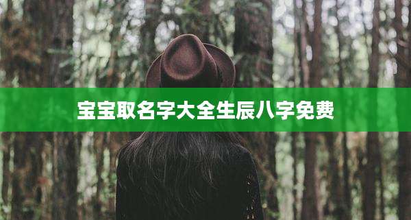 宝宝取名字大全生辰八字免费