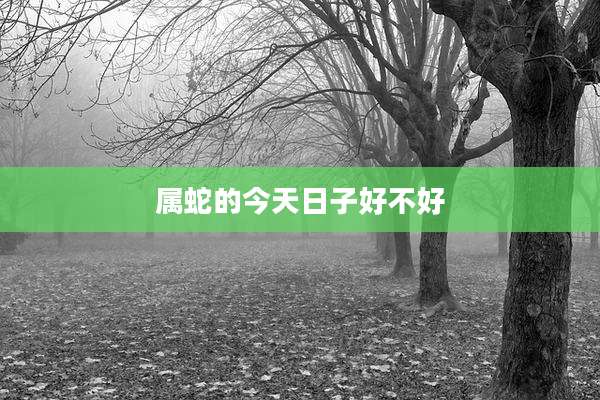 属蛇的今天日子好不好