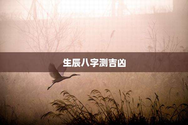 生辰八字测吉凶